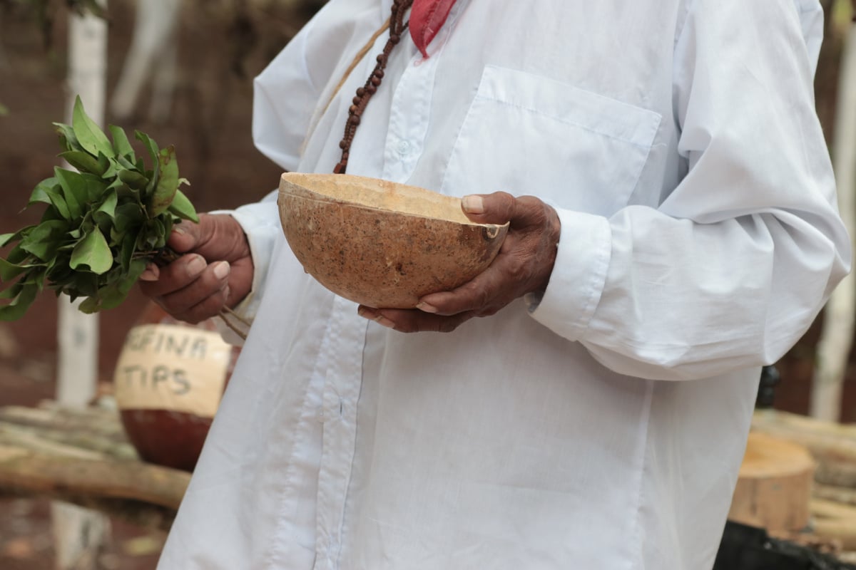 Maya Medicine, shaman of Mexico, natural cures